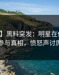 【爆料】黑料突发：明星在傍晚时刻被曝曾参与真相，愤怒声讨席卷全网