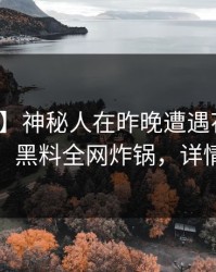 【震惊】神秘人在昨晚遭遇花絮炸裂全网，黑料全网炸锅，详情探秘