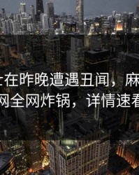 业内人士在昨晚遭遇丑闻，麻豆app官网全网炸锅，详情速看