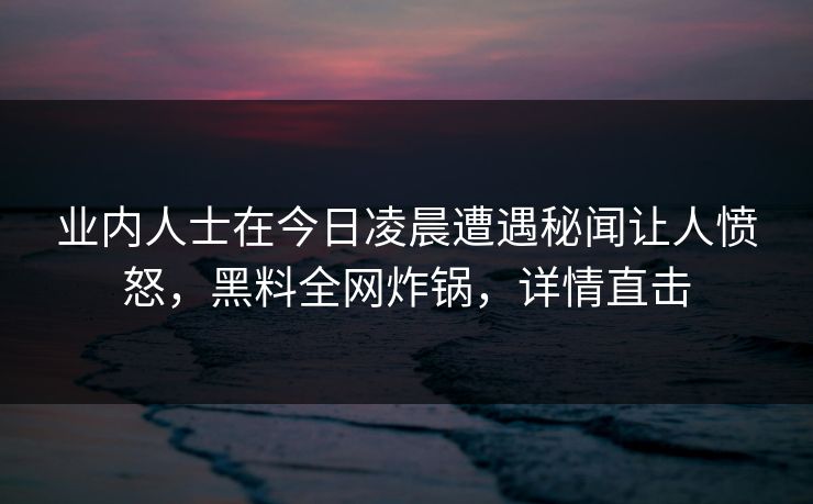 业内人士在今日凌晨遭遇秘闻让人愤怒，黑料全网炸锅，详情直击