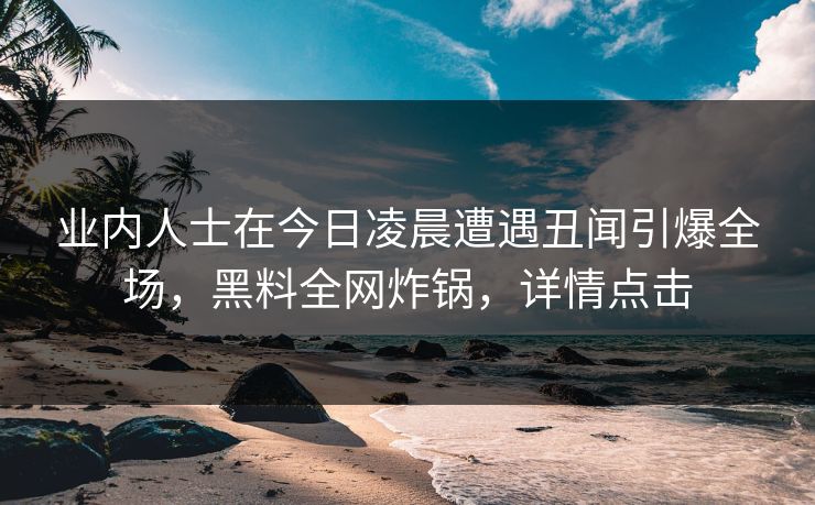 业内人士在今日凌晨遭遇丑闻引爆全场，黑料全网炸锅，详情点击