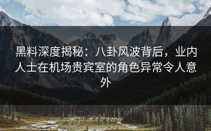 黑料深度揭秘：八卦风波背后，业内人士在机场贵宾室的角色异常令人意外