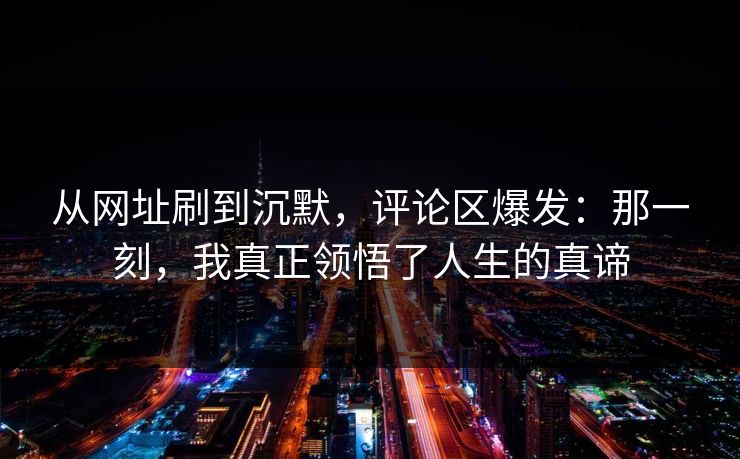 从网址刷到沉默，评论区爆发：那一刻，我真正领悟了人生的真谛